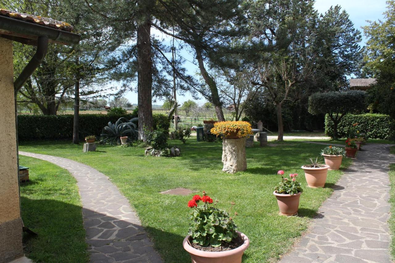 מונטמראנו Agriturismo Il Capannone מראה חיצוני תמונה