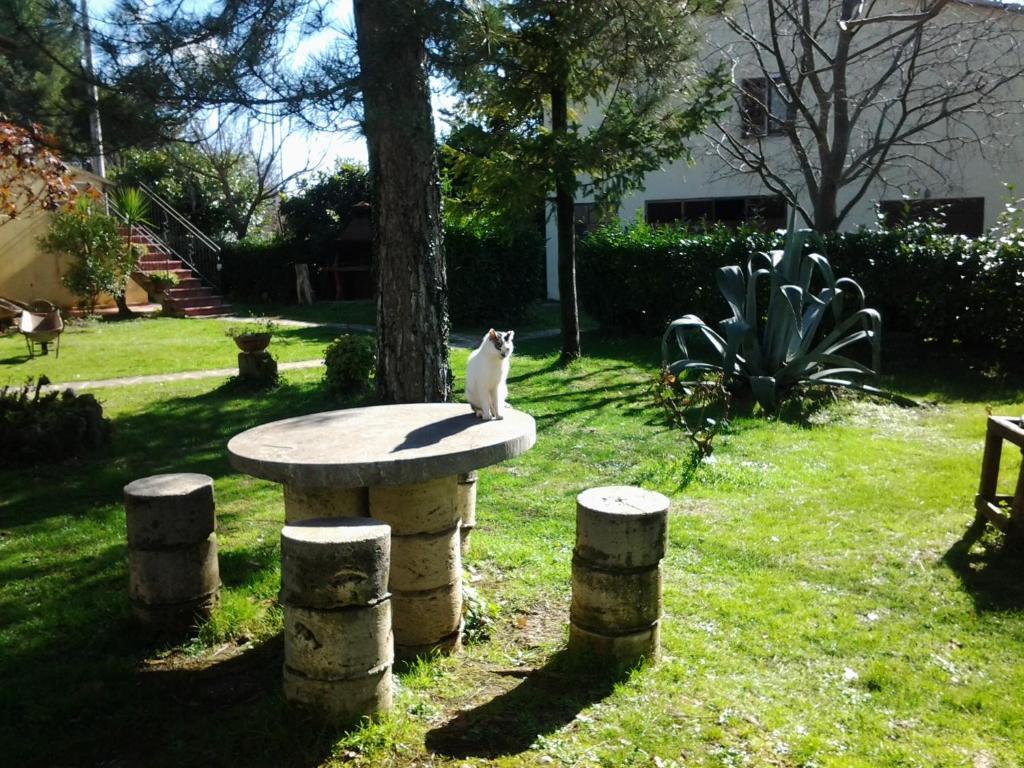 מונטמראנו Agriturismo Il Capannone מראה חיצוני תמונה