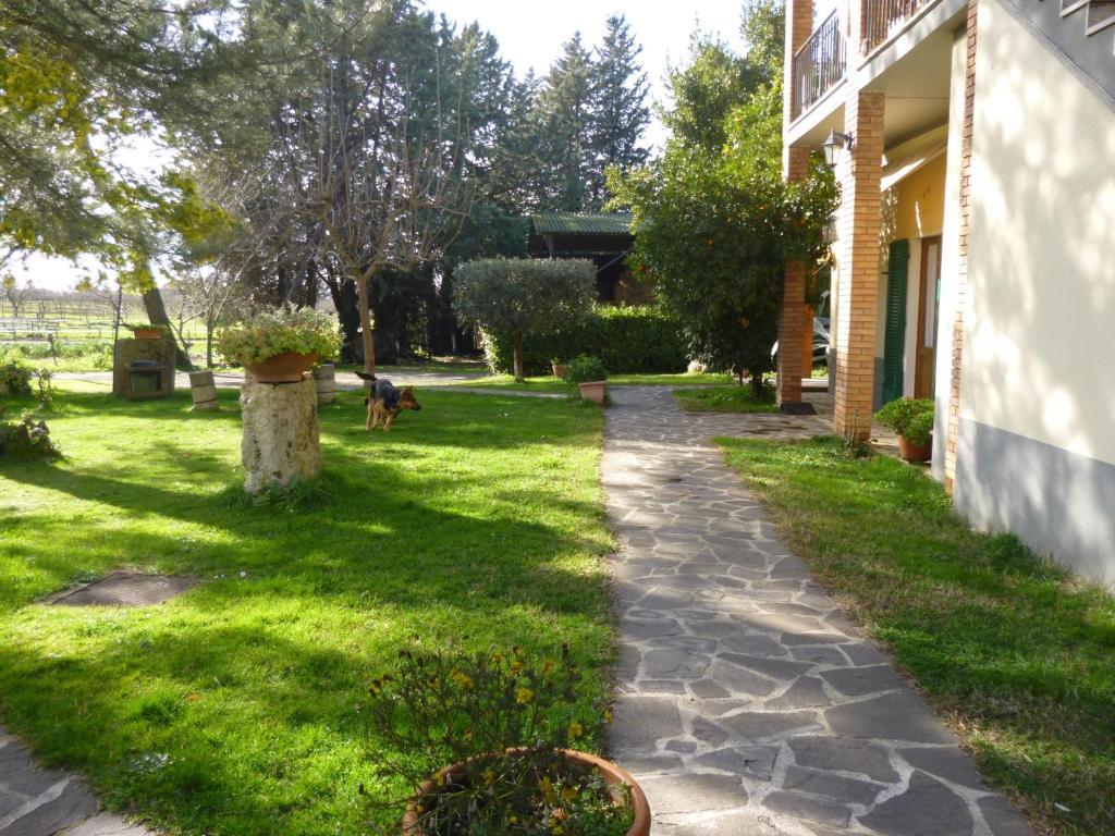 מונטמראנו Agriturismo Il Capannone מראה חיצוני תמונה